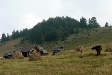 Pohoøí Bjelasica
