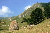 Bjelasica