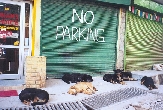 Indie - Dharamsala