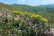 Bjelasica