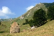 Bjelasica