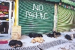 Indie - Dharamsala
