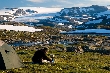 Norsko