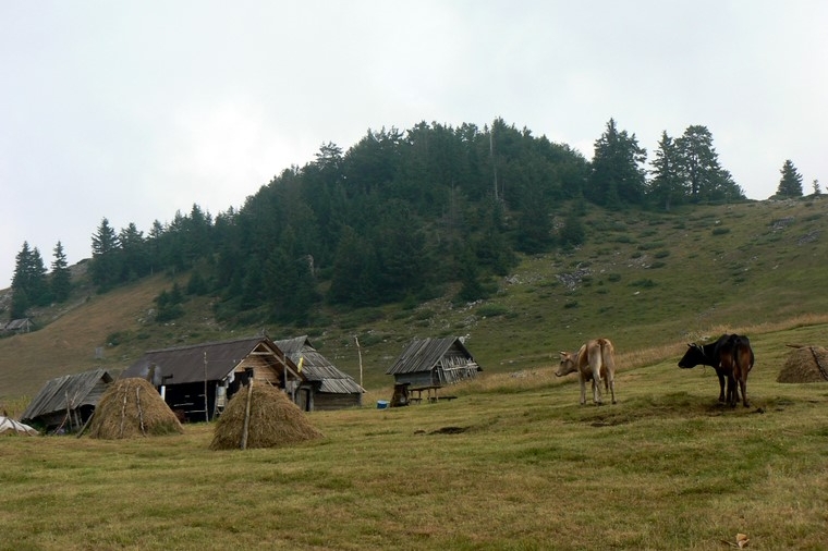 Pohoøí Bjelasica