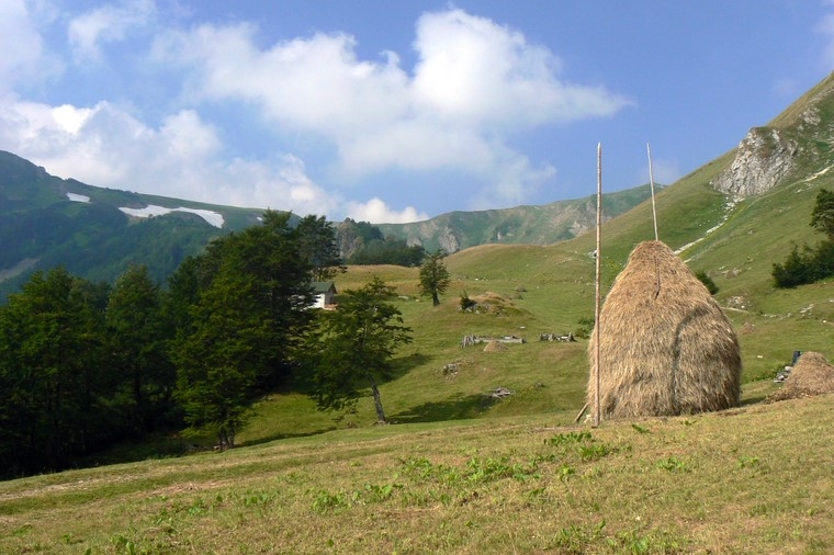 Bjelasica