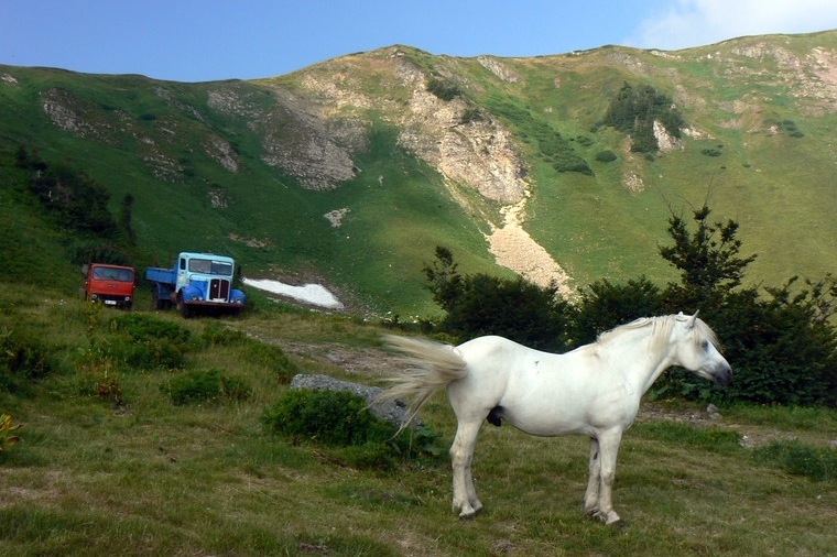 Bjelasica