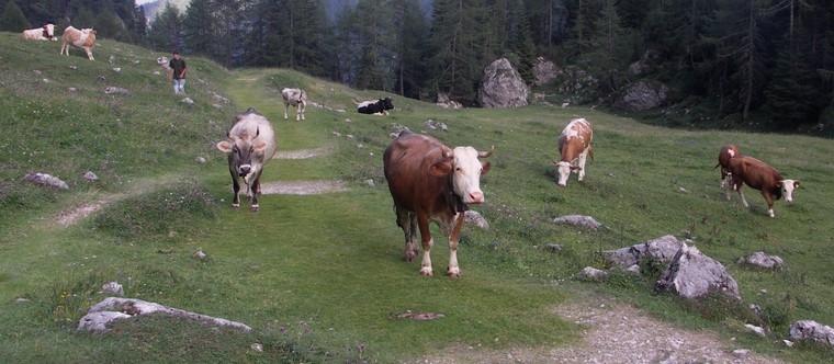 Dolomity