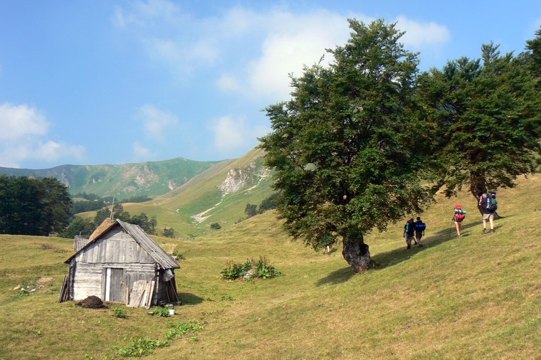 Bjelasica