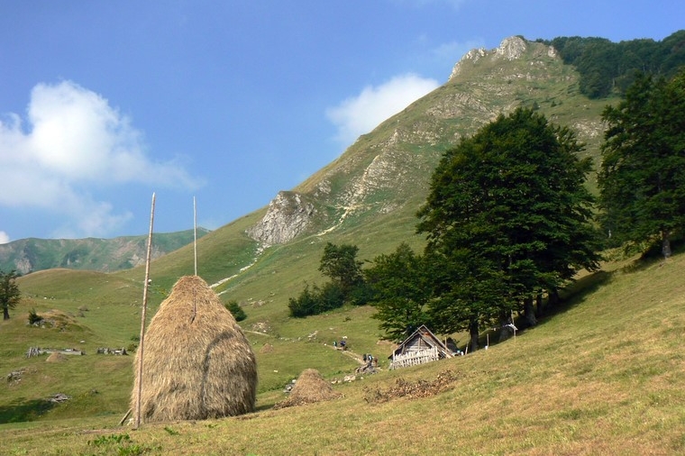Bjelasica
