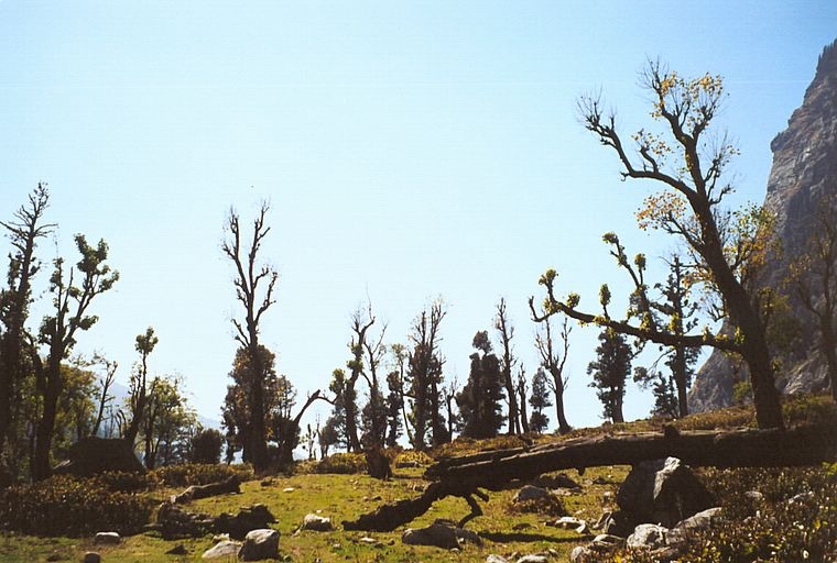 Indie - trekking v Himalájích