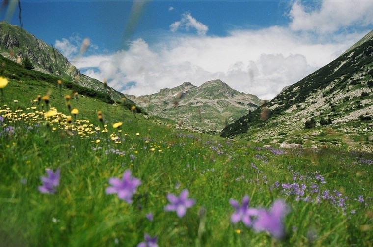 Pirin - louky za chatou Pirin